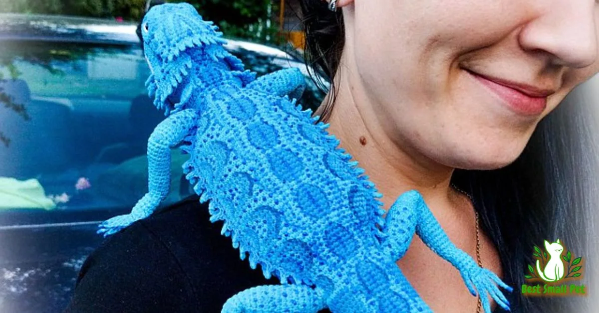 Stunning Blue Bearded Dragons